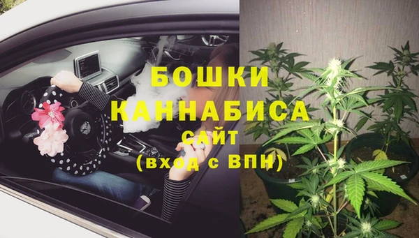 прущие крисы Арсеньев
