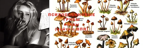каннабис Балахна
